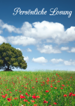 Mohnfeld_ab_2025